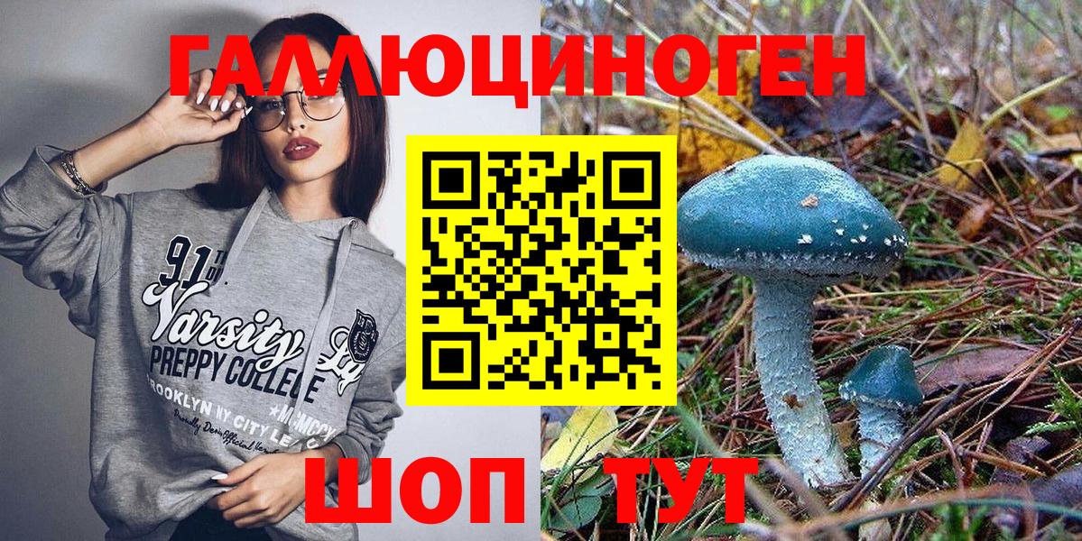 Канаш  Псилоцибиновые грибы Magic Shrooms  где продают   Вход с VPN 