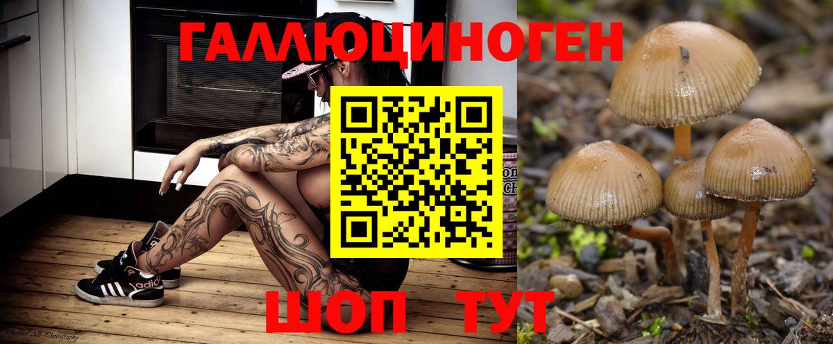 Галлюциногенные грибы Magic Shrooms Канаш